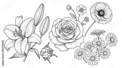 Black and White Floral Illustration of Roses, Lilies, and Daisies