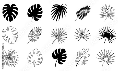 Recommendation Tropical palm leaf silhouette and line art collection, monstera and fan palm fronds set, exotic jungle botanical design elements