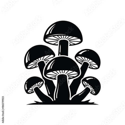 Cluster of mushrooms isolated on white background, Vector, illustration