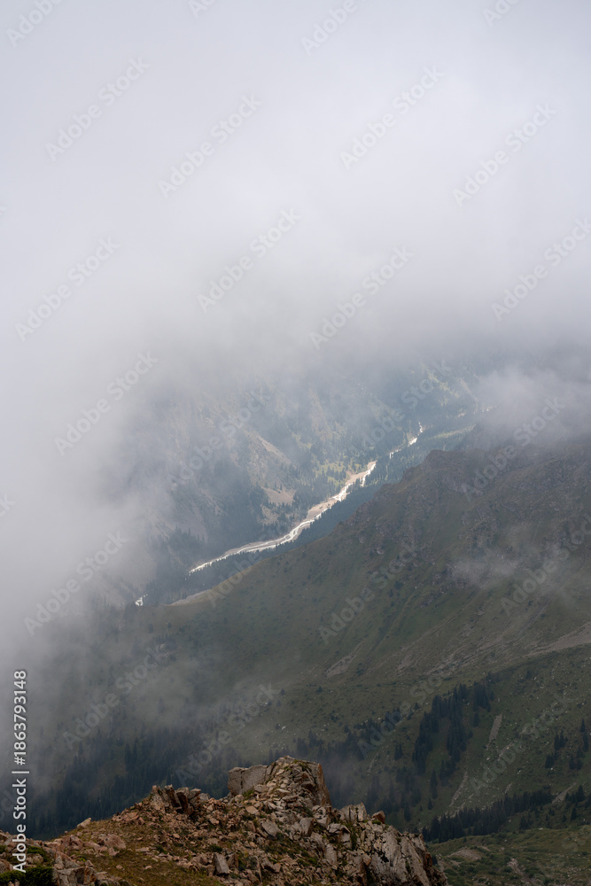Fototapeta premium High-altitude alpine vegetation and granite rocks in the mountains of Kazakhstan. Scenic summer view of Malaya Almatinskaya Krugosvetka trekking route.