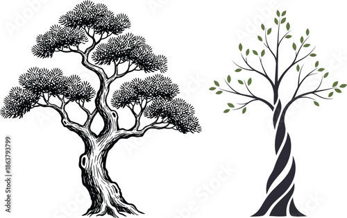Silhouette of two trees with different shapes and structures one with full foliage and the other with sparse leaves