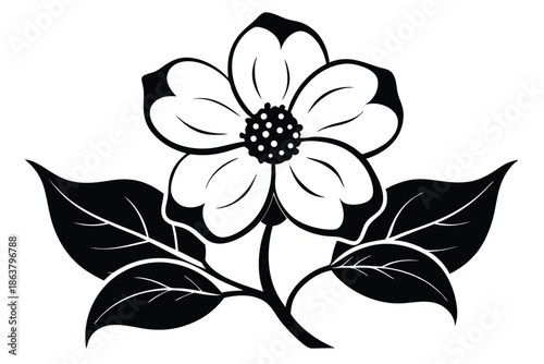 dogwood flower silhouette line art vector illustration
