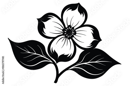 dogwood flower silhouette line art vector illustration