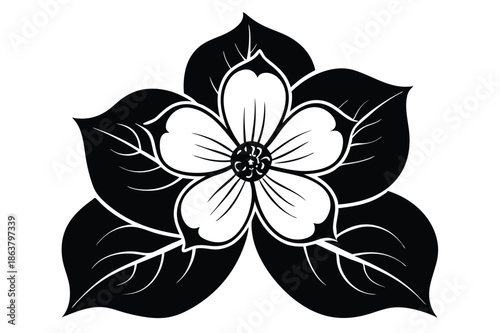 dogwood flower silhouette line art vector illustration
