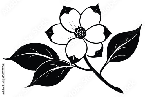 dogwood flower silhouette line art vector illustration
