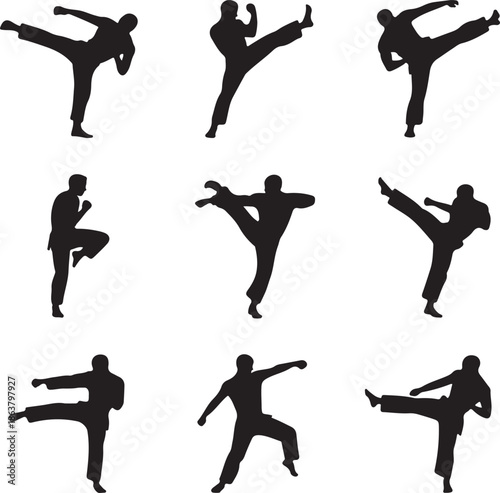 karate martial arts    silhouettes
