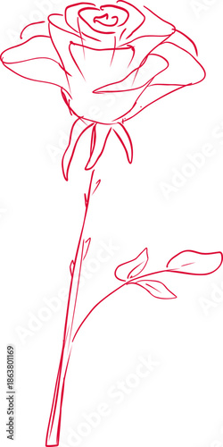 Sketch whimsical Red Rose flower Doodle Crayon drawing. Romantic love line border, frame.