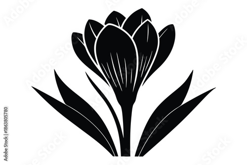 crocus silhouette line art vector illustration