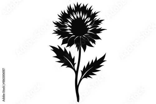 cornflower silhouette line art vector illustration
