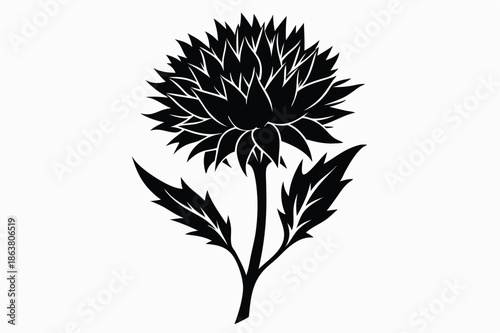 cornflower silhouette line art vector illustration