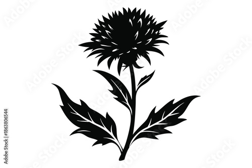 cornflower silhouette line art vector illustration