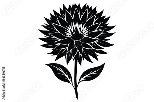 cornflower silhouette line art vector illustration
