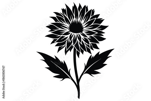cornflower silhouette line art vector illustration