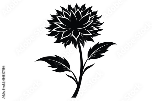 cornflower silhouette line art vector illustration