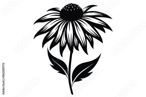 coneflower silhouette line art vector illustration