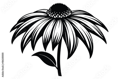 coneflower silhouette line art vector illustration