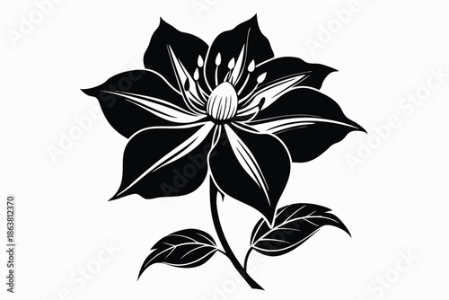 clematis silhouette line art vector illustration