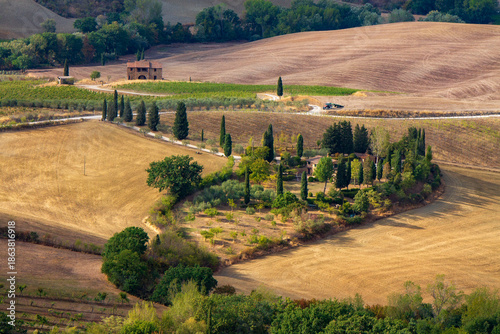  scenary in tuscany with vineyard