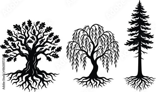 Stylized Tree Silhouettes with Visible Root Systems Featuring Oak, Willow and Pine for Botanical, Nature and Design Concepts
