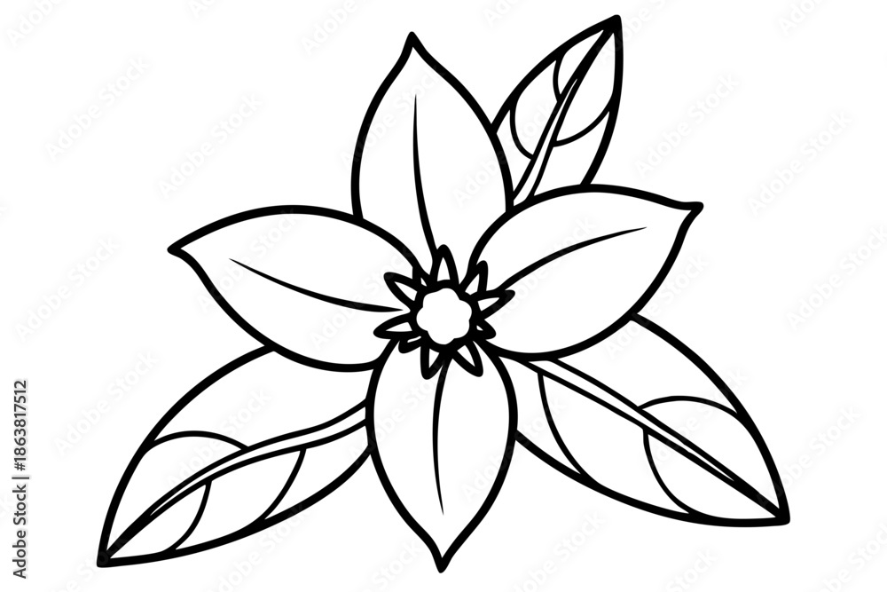 Obraz premium forsythia flower silhouette line art vector illustration