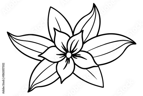 forsythia flower silhouette line art vector illustration