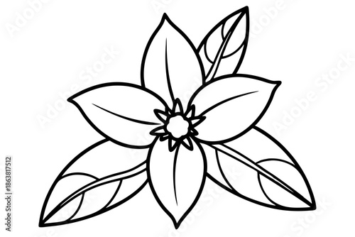 forsythia flower silhouette line art vector illustration