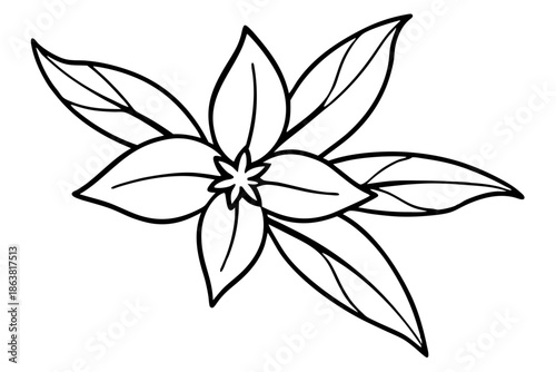 forsythia flower silhouette line art vector illustration