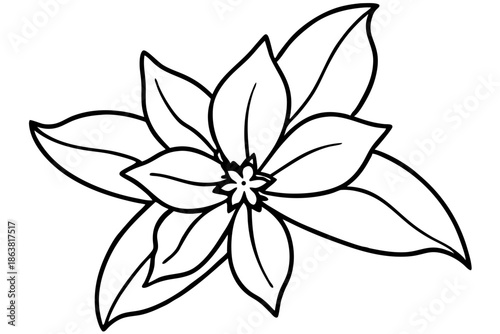 forsythia flower silhouette line art vector illustration