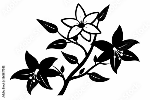 forsythia flower silhouette line art vector illustration