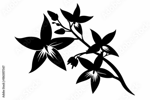 forsythia flower silhouette line art vector illustration