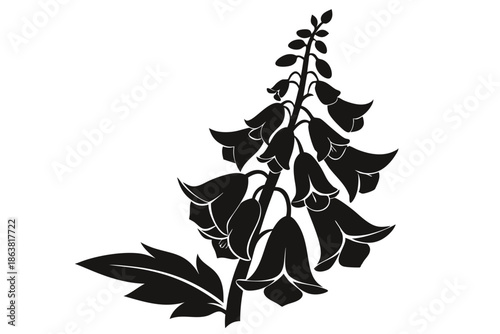 foxglove silhouette line art vector illustration