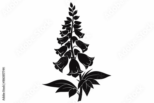 foxglove silhouette line art vector illustration