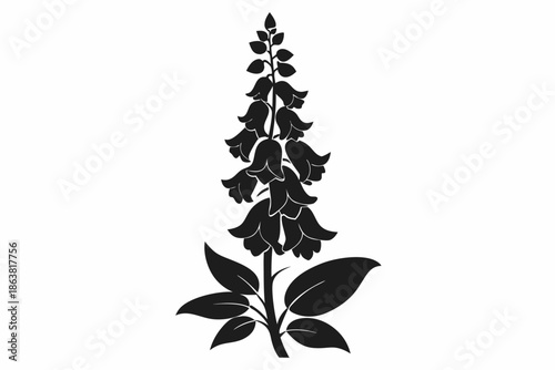foxglove silhouette line art vector illustration
