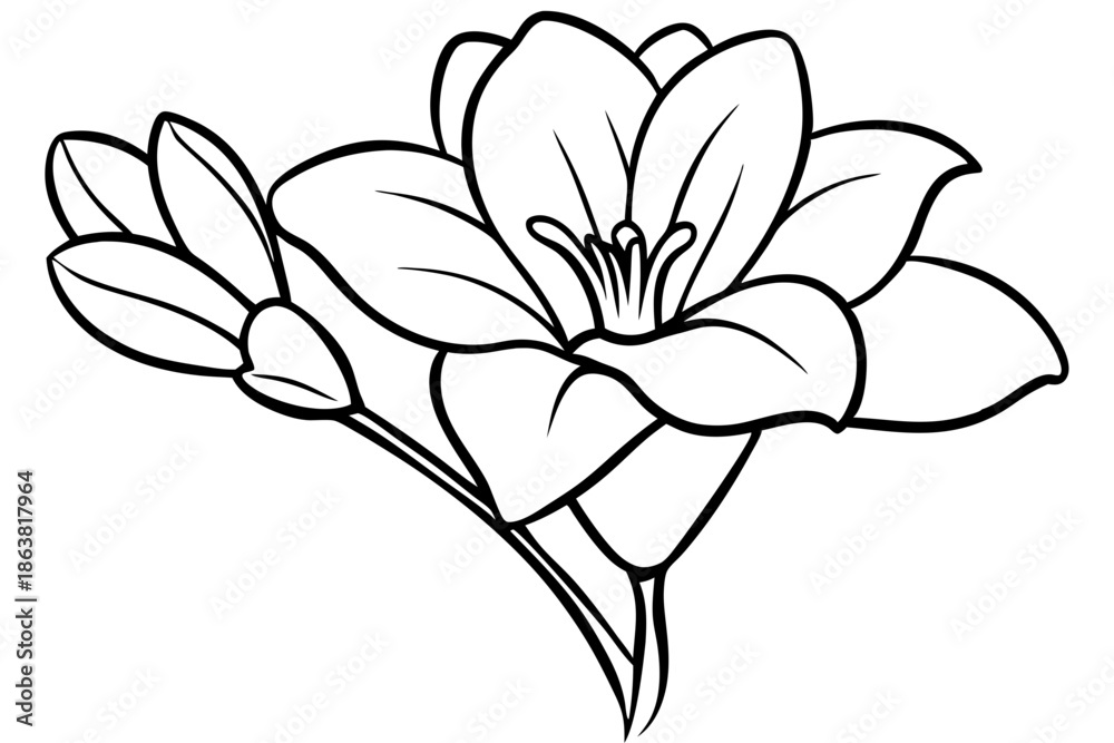 Obraz premium freesia silhouette line art vector illustration