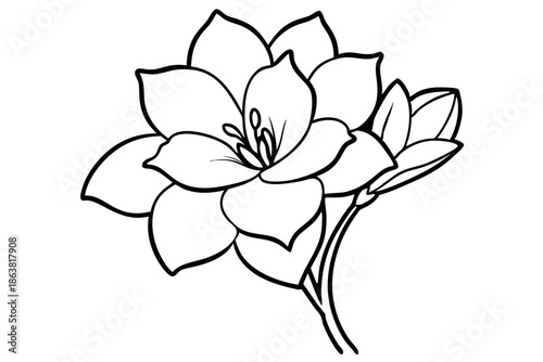 freesia silhouette line art vector illustration