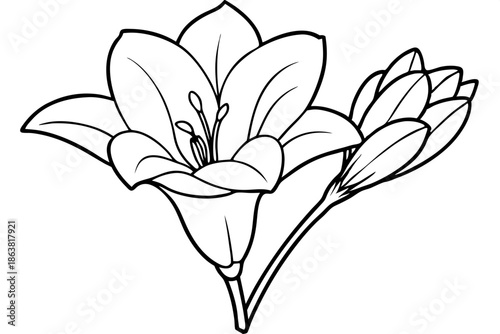 freesia silhouette line art vector illustration
