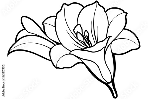 freesia silhouette line art vector illustration