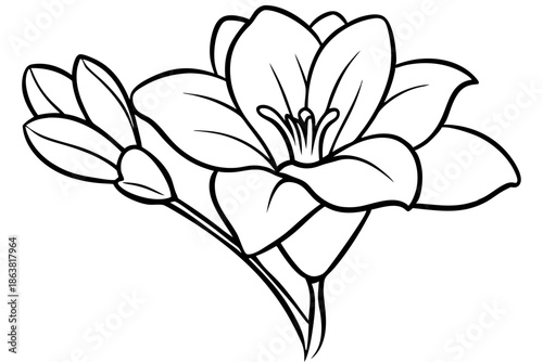 freesia silhouette line art vector illustration