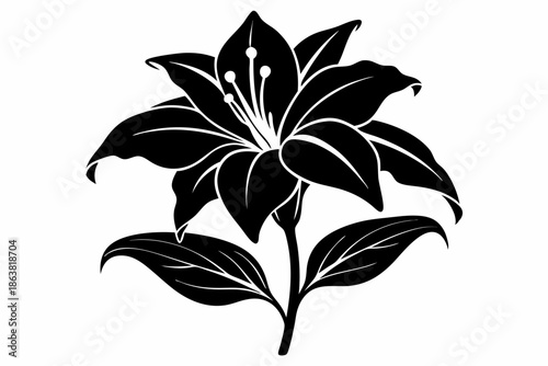 ginger lily silhouette line art vector illustration