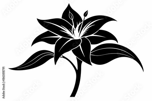 ginger lily silhouette line art vector illustration