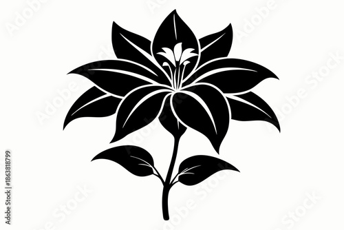ginger lily silhouette line art vector illustration