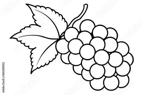 grapes silhouette line art vector illustration