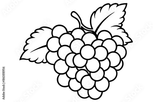 grapes silhouette line art vector illustration
