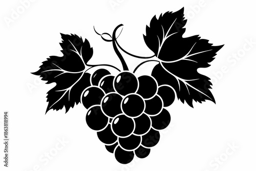 grapes silhouette line art vector illustration