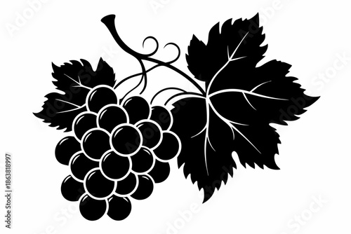 grapes silhouette line art vector illustration