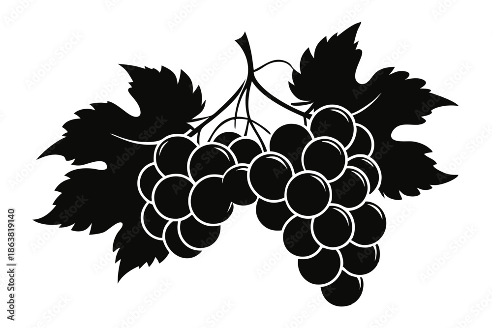 Fototapeta premium grapes silhouette line art vector illustration