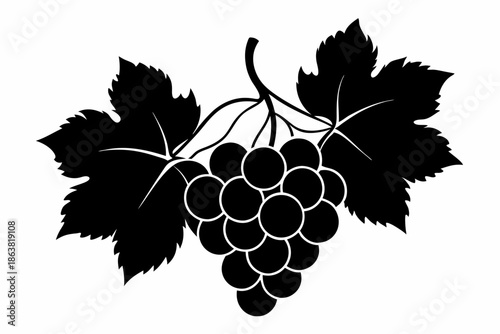 grapes silhouette line art vector illustration