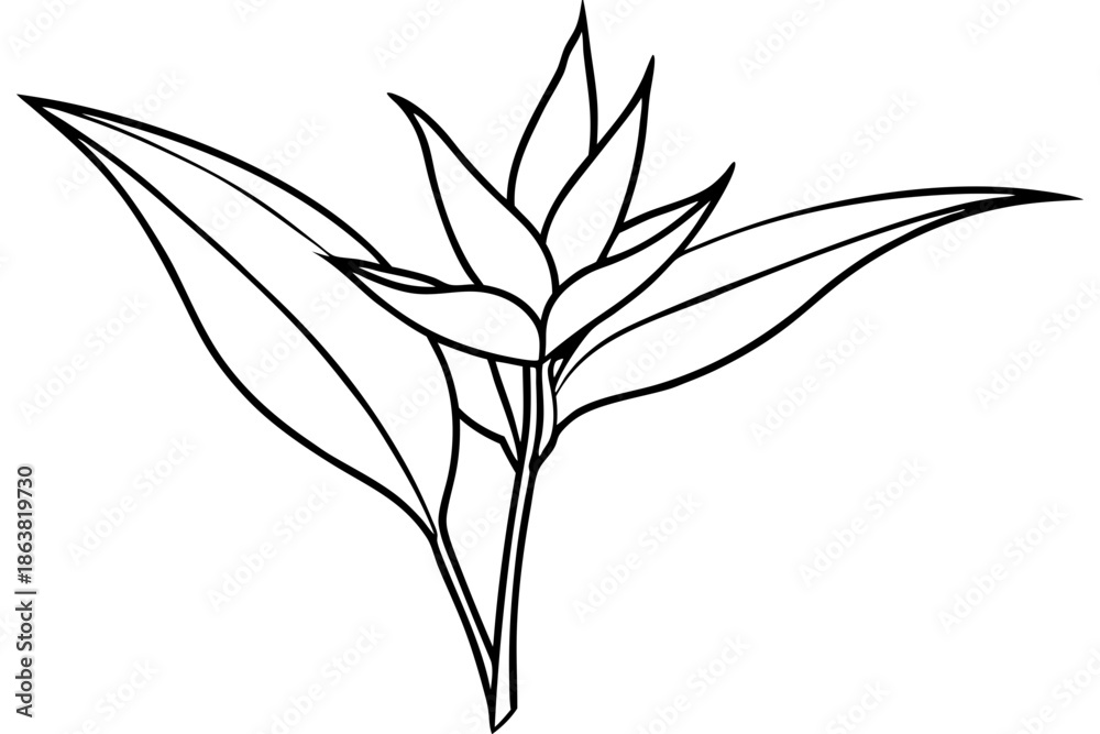 Fototapeta premium heliconia silhouette line art vector illustration