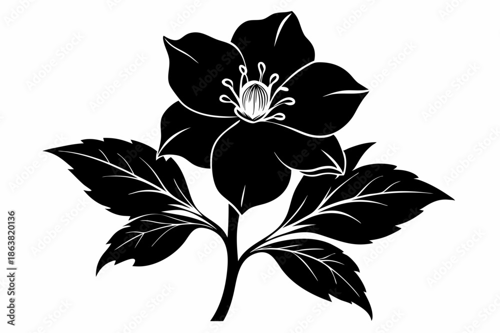 Obraz premium hellebore silhouette line art vector illustration