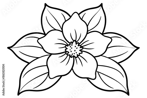hellebore silhouette line art vector illustration